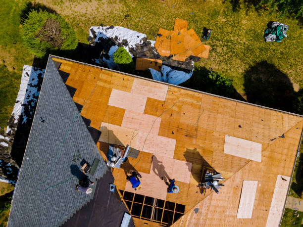 Best Roof Inspection Near Me  in Sandoval, IL