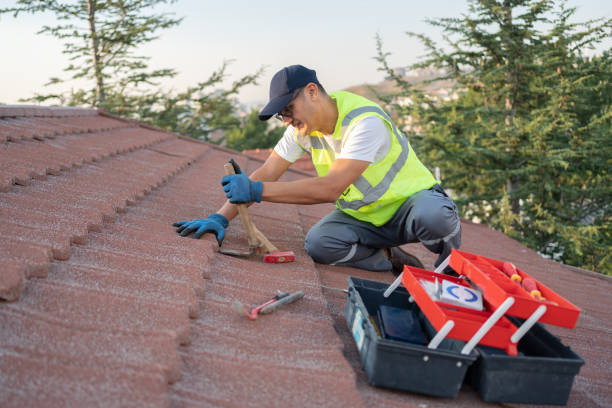 Best Metal Roofing Contractor  in Sandoval, IL