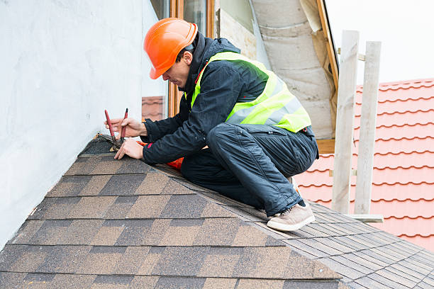 Best Roof Waterproofing Services  in Sandoval, IL