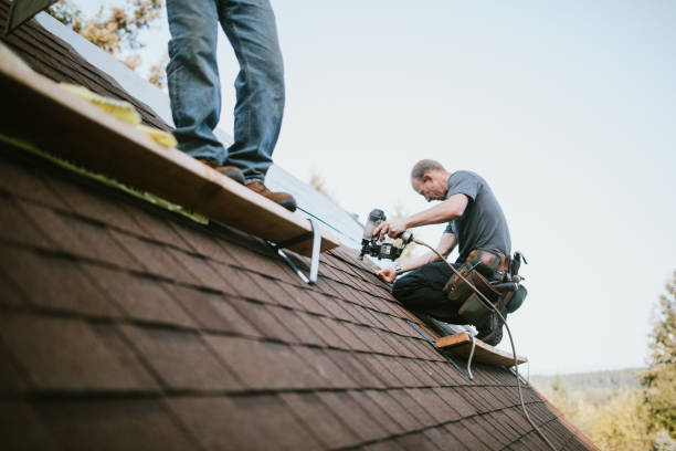 Best Residential Roofing Contractor  in Sandoval, IL